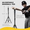Baseball Net with Strike Zone, Tee, Caddy and Carry Bag for Pitching and Hitting, Portable Softball and Baseball Training Equipment
