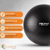 PRO MAX Workout Exercise Ball for Fitness, Yoga, Balance, Stability, or Birth Ball for Pregnancy and Labor